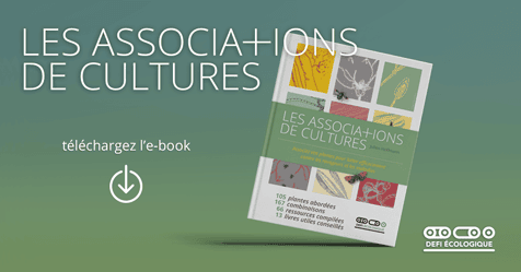 Télécharger Les associations de cultures